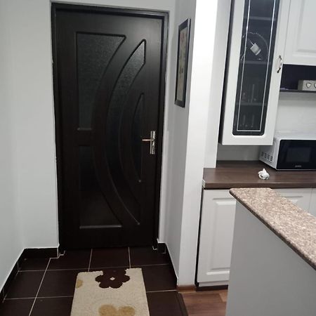 Penti Apartament Suceava Dış mekan fotoğraf