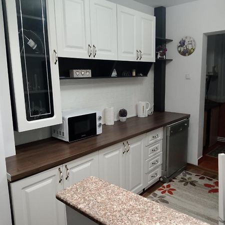 Penti Apartament Suceava Dış mekan fotoğraf